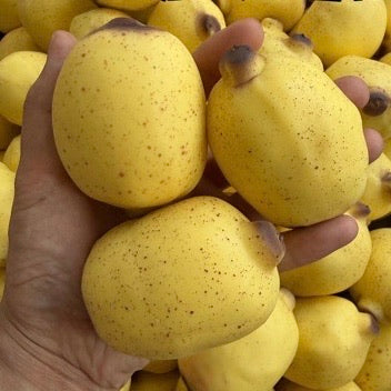 Crunchy Banana Handmade Stress Ball Stress Relief Decompression Toy
