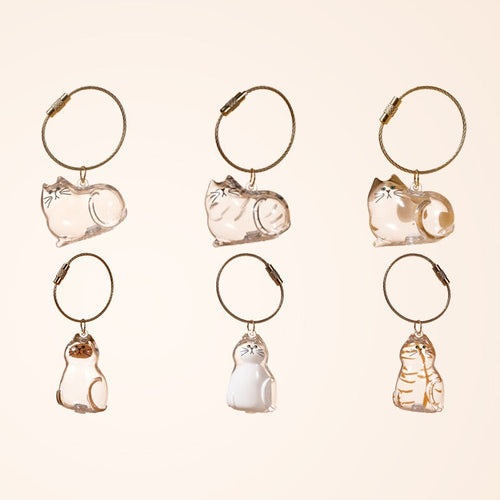 6pcs Transparent Cat Hair Storage Box Cat Hair Storage Capsule Keychain (Not Include Cat Hair)