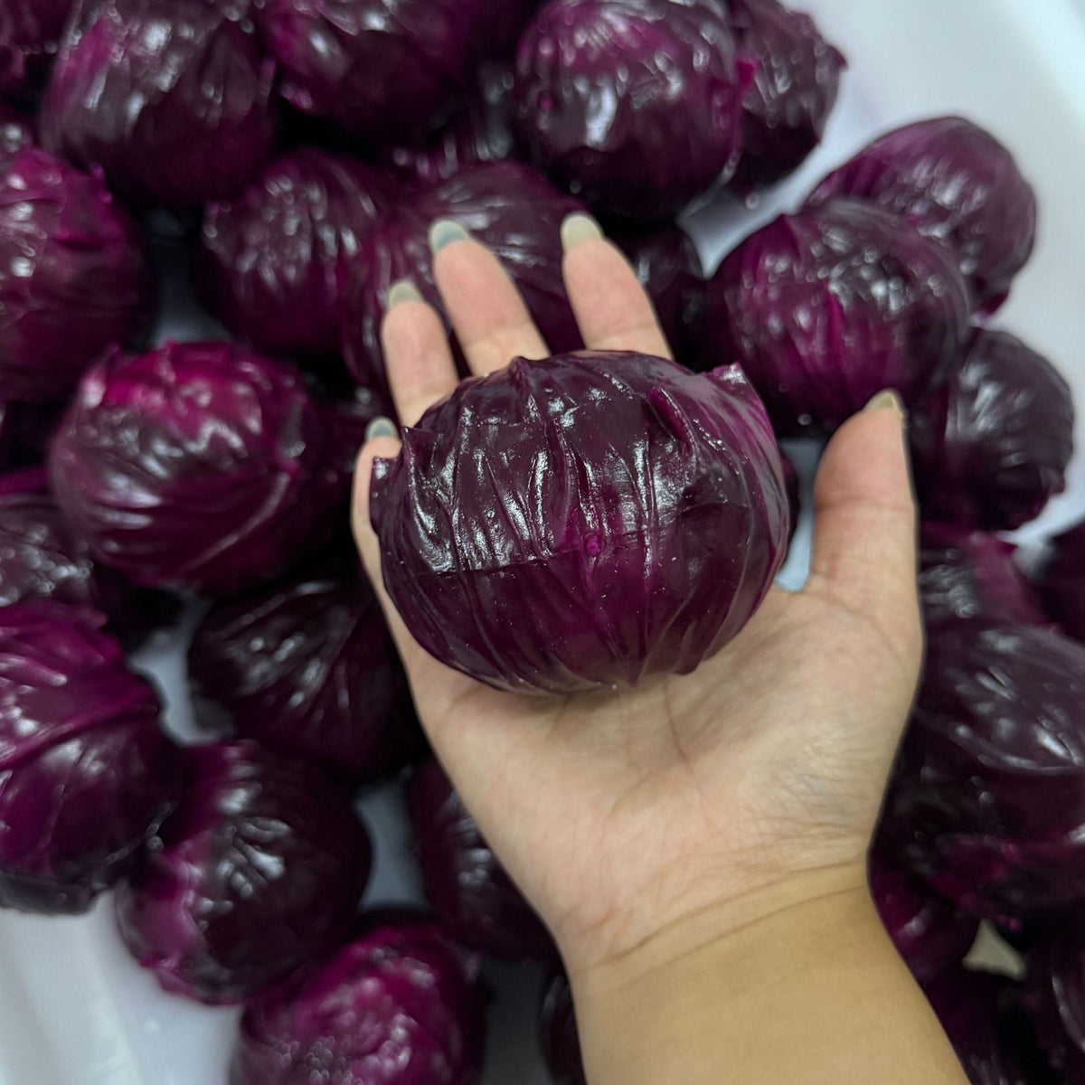 Crunchy Purple Cabbage Stress Ball Squishy Stress Relief Decompression Toy