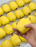 Apple Banana Stress Ball Squishy Fidget Toy