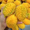 Crunchy Durian Stress Ball Squishy Stress Relief Decompression Toy