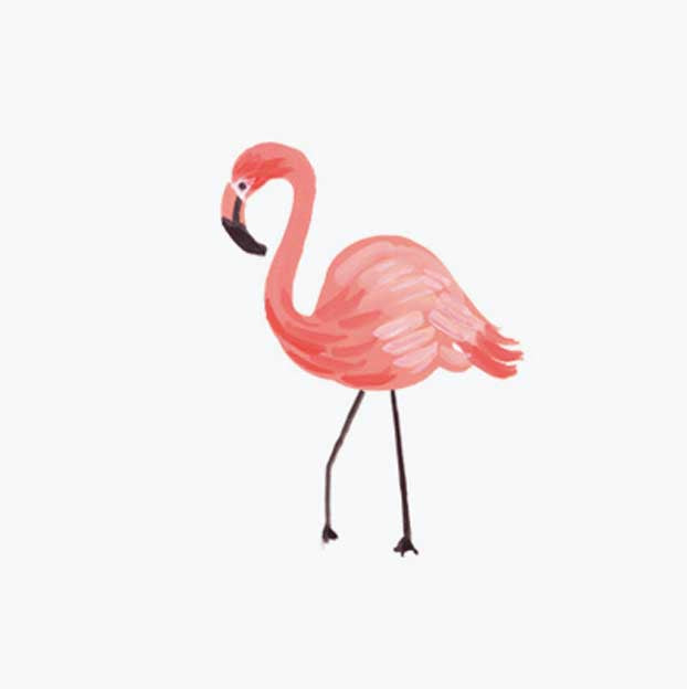 Animals Personalized Stationery  - Flamingo
