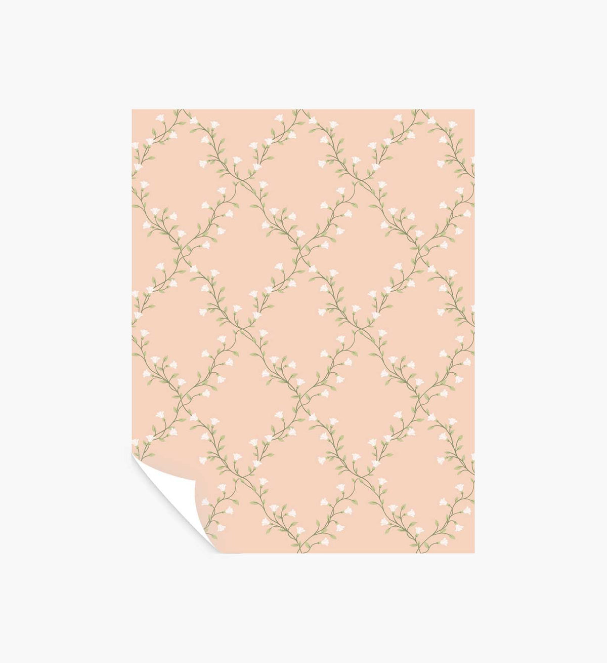 Bellflower Wallpaper Sample - Rose