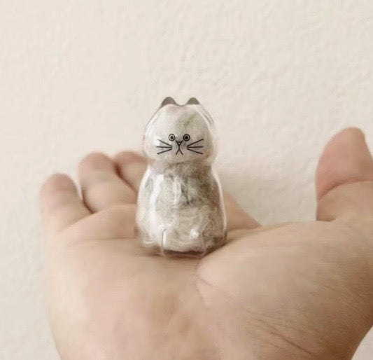 6pcs Transparent Cat Hair Storage Box Cat Hair Storage Capsule Keychain (Not Include Cat Hair)