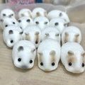 Handmade Guinea Pig Taba Squishy Toy