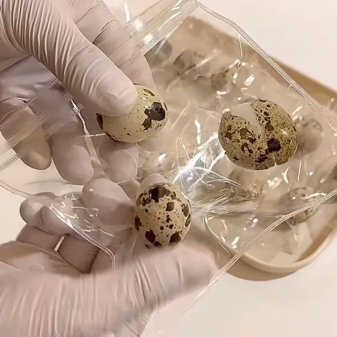 3pcs Quail Eggs Stress Relief Taba Squishy Toy